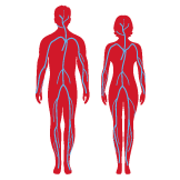 douleursCirculatoires